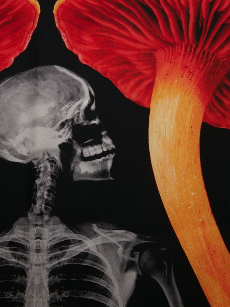 Women's Mushroom Skeleton Foulard Black/Orange Fashion Alexander McQueen