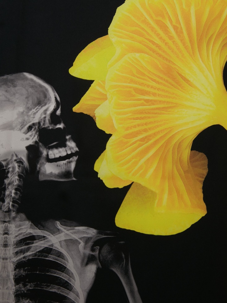 Women's Mushroom Skeleton Foulard Fashion Alexander McQueen Black/Yellow