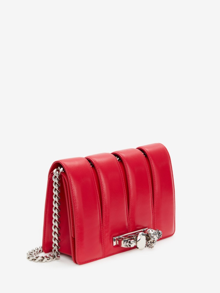 Welsh Red Fashion Alexander McQueen Women's The Slash Bag
