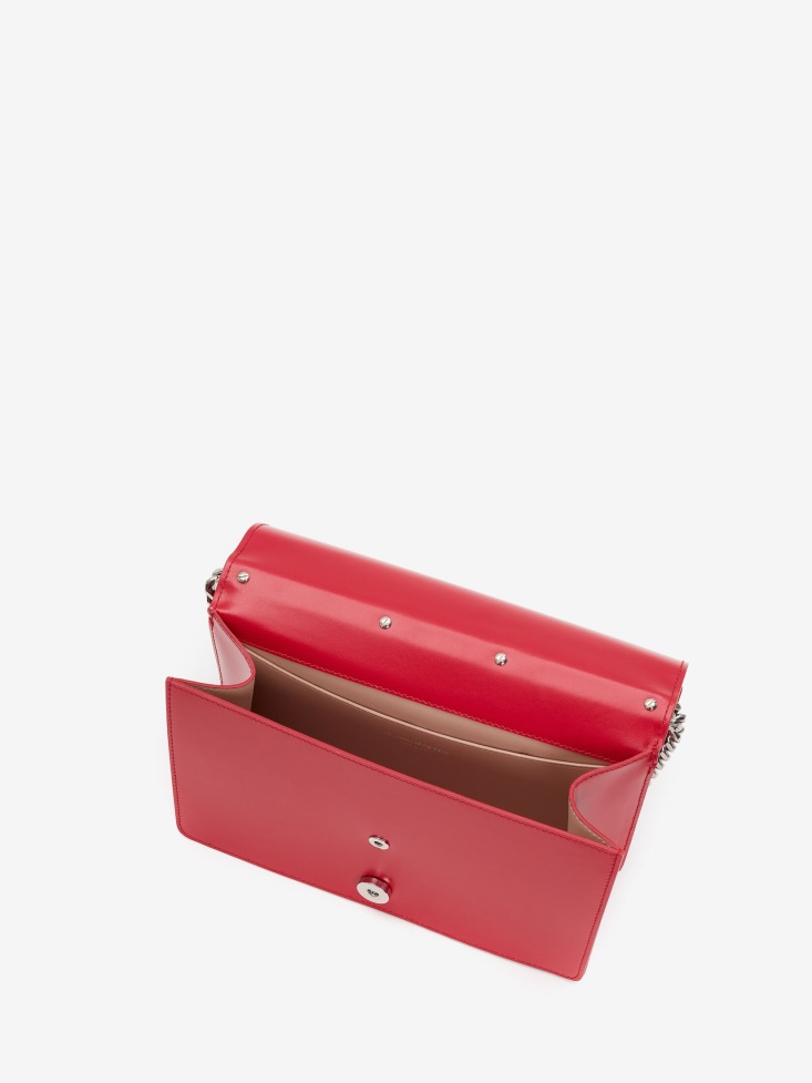 Welsh Red Fashion Alexander McQueen Women's The Slash Bag