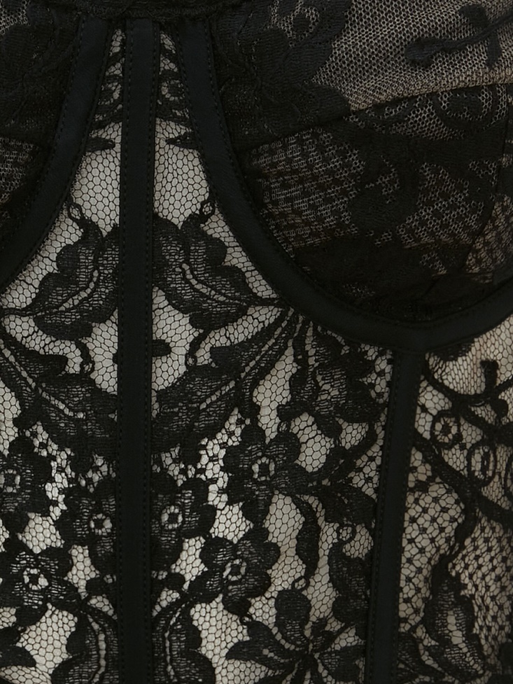 Black Lace Corset Fashion Alexander McQueen