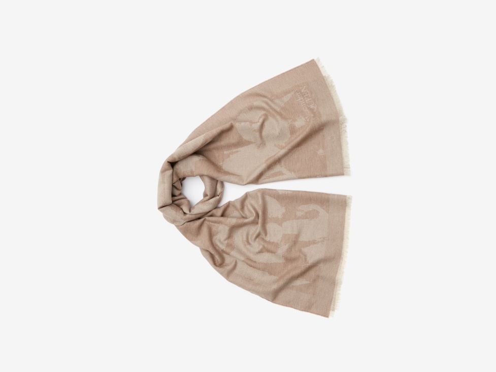 Fashion Alexander McQueen Beige Men's in Graffiti Stole