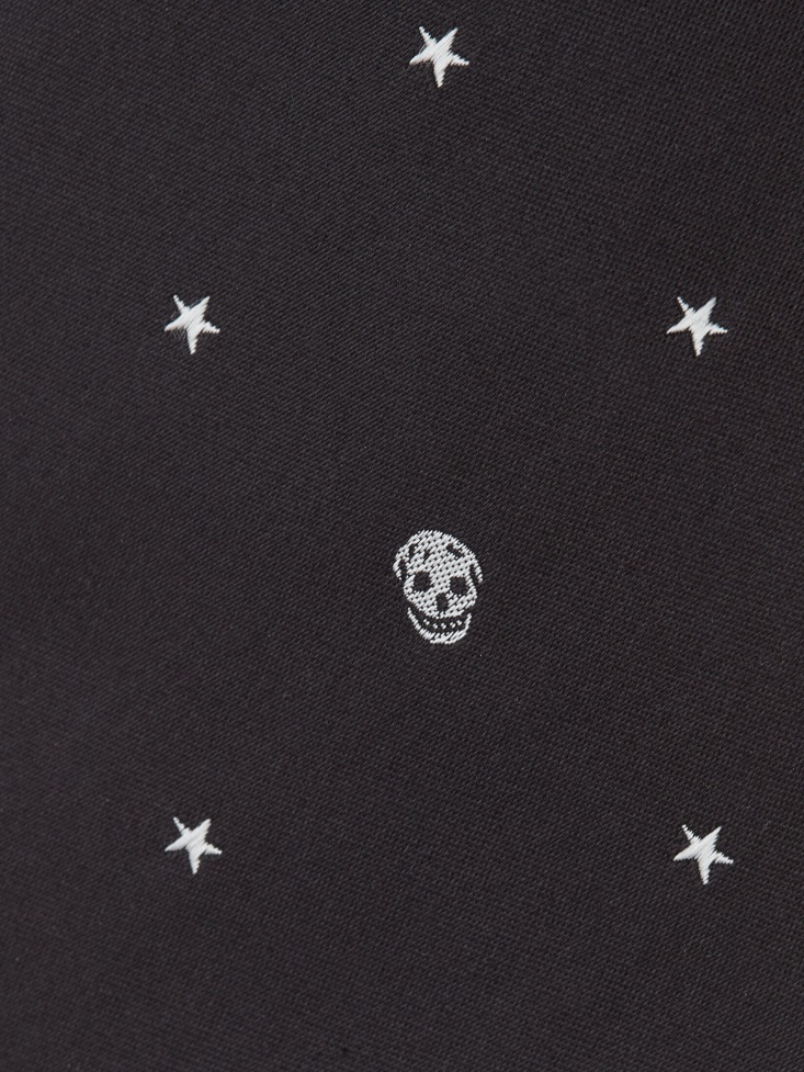 Men's Star And Skull Tie Black Fashion Alexander McQueen