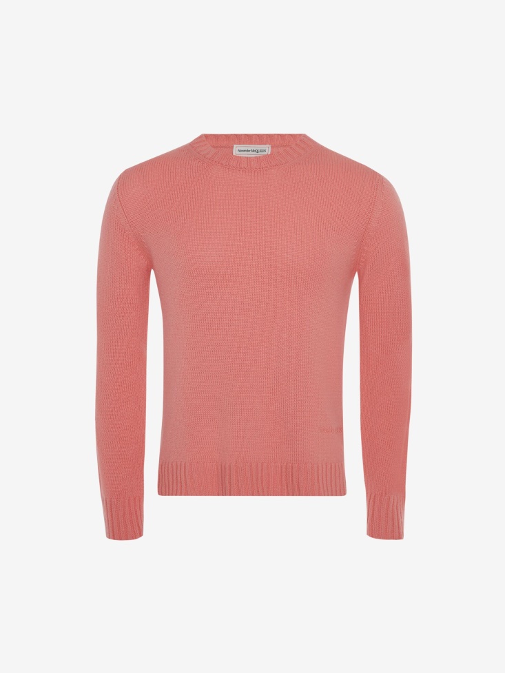 Coral Fashion Alexander McQueen Men's Cashmere in Jumper