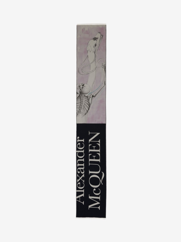 Fashion Alexander McQueen Multicolour Women's Blake Swan Scarf