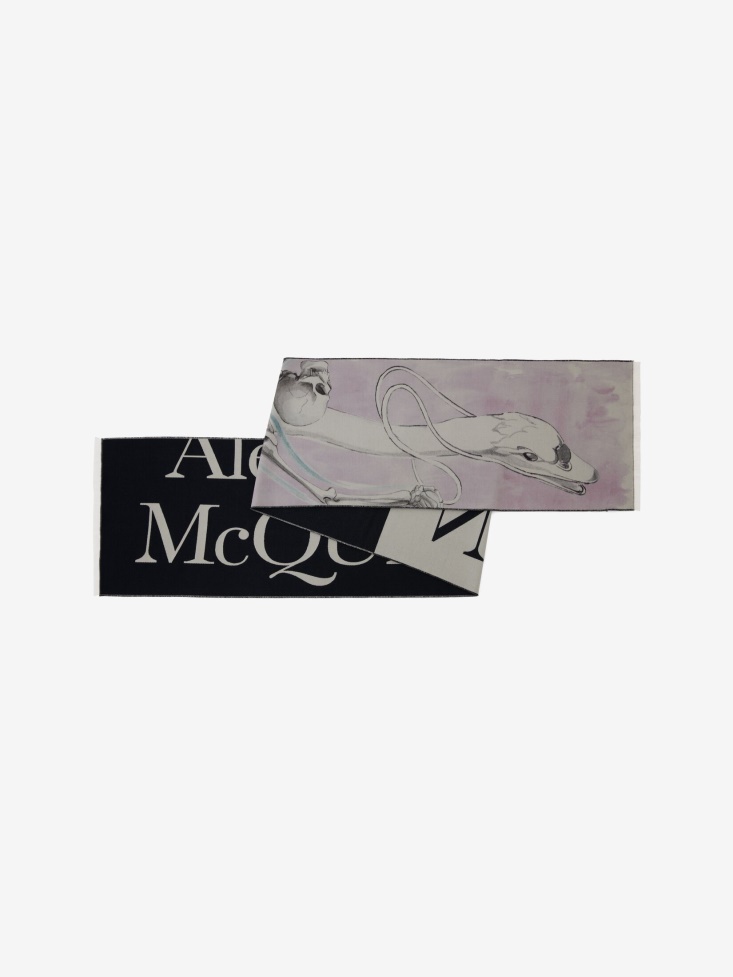 Fashion Alexander McQueen Multicolour Women's Blake Swan Scarf