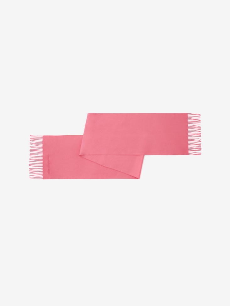 Fashion Alexander McQueen Pink Men's Embroidered Stole