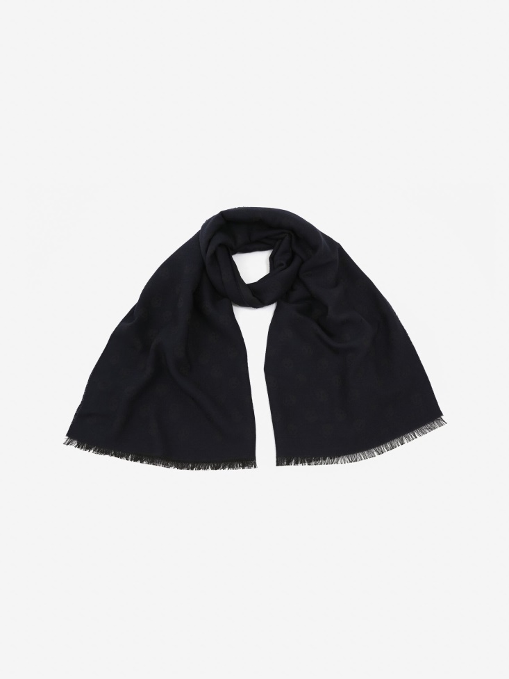 Fashion Alexander McQueen Navy/Blue Men's Reversible Skull Scarf