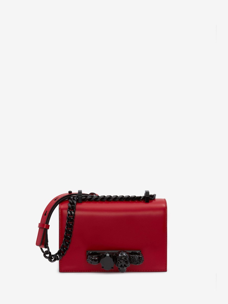 Welsh Red Fashion Alexander McQueen Women's Mini Jewelled Satchel