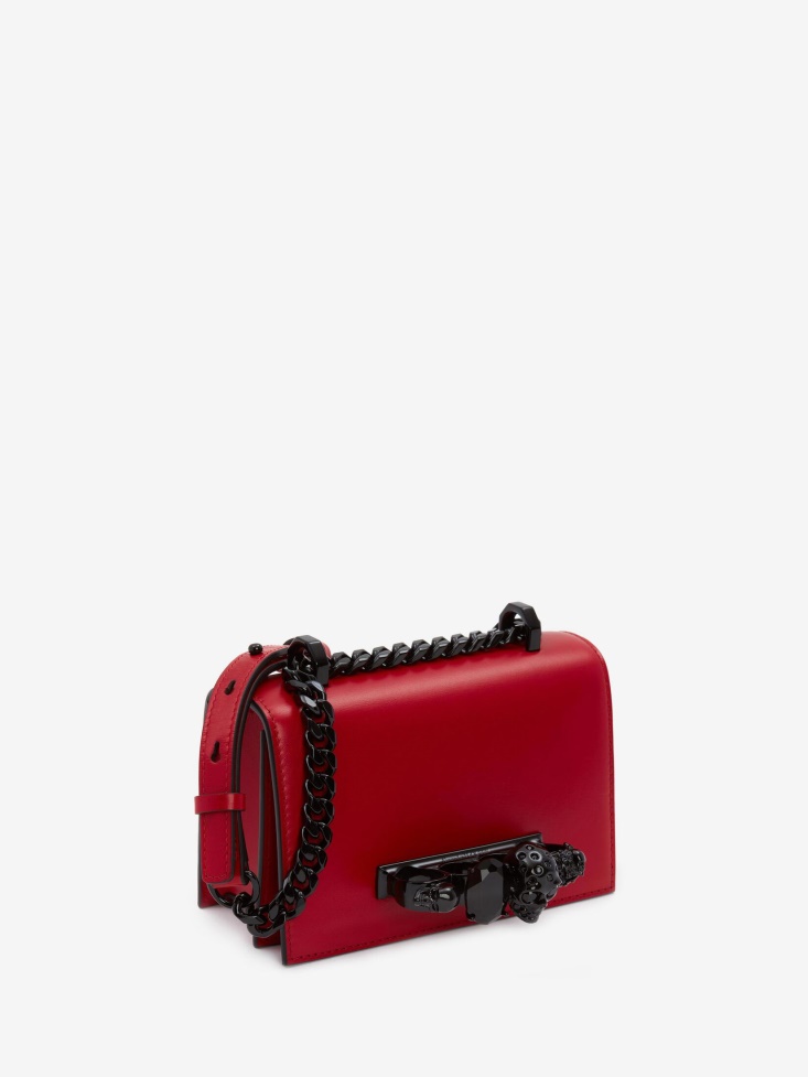 Welsh Red Fashion Alexander McQueen Women's Mini Jewelled Satchel
