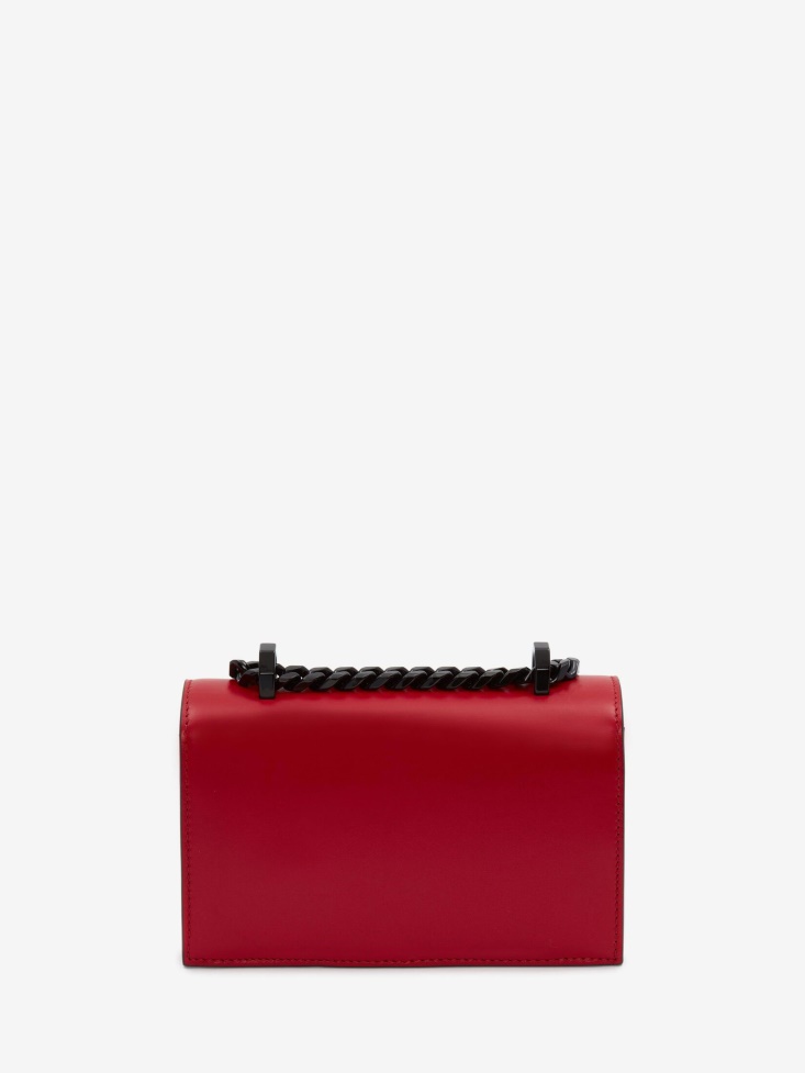 Welsh Red Fashion Alexander McQueen Women's Mini Jewelled Satchel