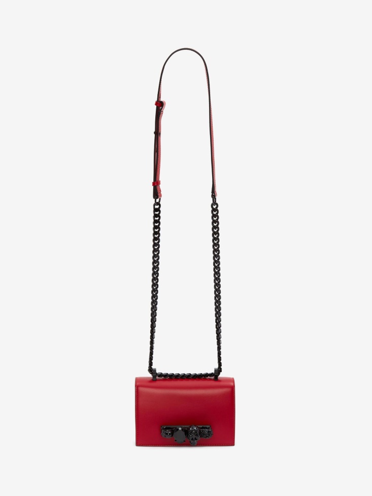 Welsh Red Fashion Alexander McQueen Women's Mini Jewelled Satchel